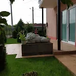Vila Roxy Costinesti Schitu