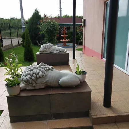 Vila Roxy Costinesti