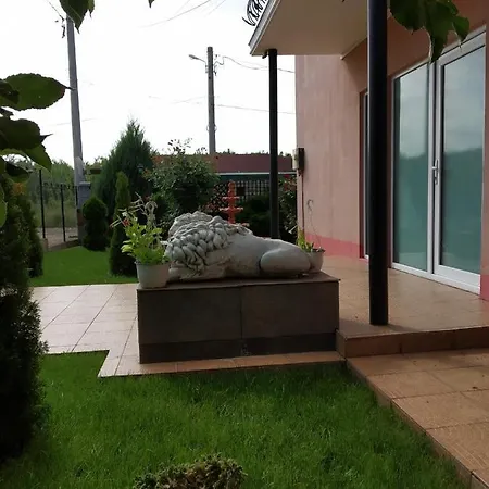 Vila Roxy Costinesti Schitu