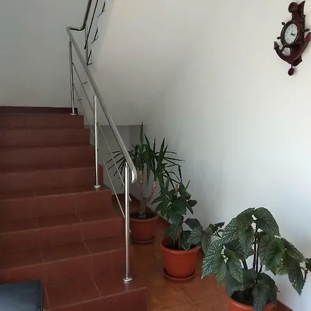 Vila Roxy Costinesti Gasthuis