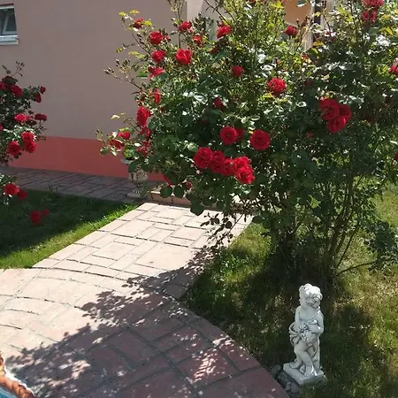 Vila Roxy Costinesti Gasthuis 3*